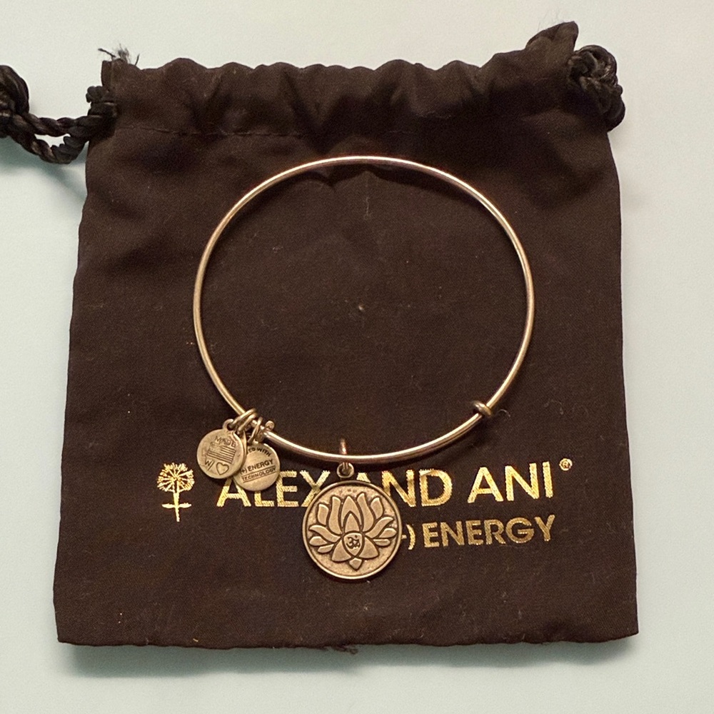 Alex and Ani Silver Charm Bracelet